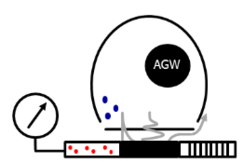 Agw