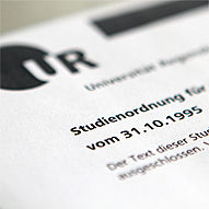 Illustrierender Ausschnitt aus einer Studienordnung