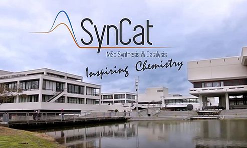 Syncat At Ur