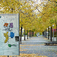 Anschnitt Herbst Ar _8_