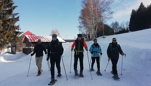 Bavarianforestwolfgroup2019 2