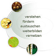 Default Rechte Spalte