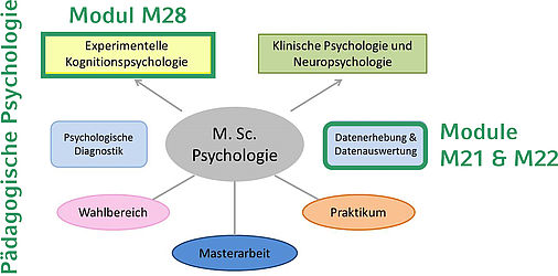 Graphiken Master Lehre