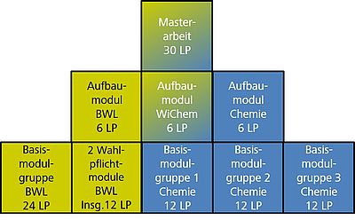 Studienablauf Mscwichem
