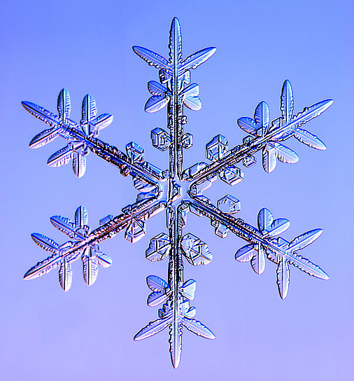 Dendritsches Wachstum