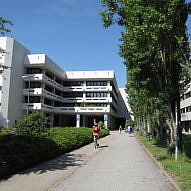 Img 0027