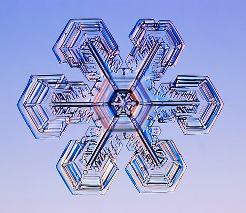 Kern und Spitzen der Dendriten bilden hexagonale Plättchen