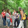 Bild7