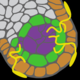 Icon 4