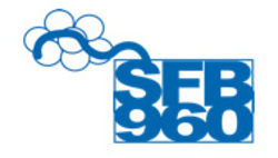 Sfb960