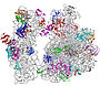 Sfb-tschochner