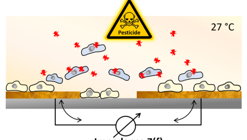 Graphical Abstract Friedrich