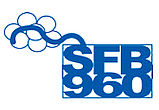Sfb960