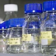 Glasfläschchen mit Chemikalien