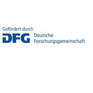 Dfg Gef _