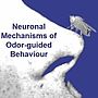 Olfaction-symposium-sept-2017