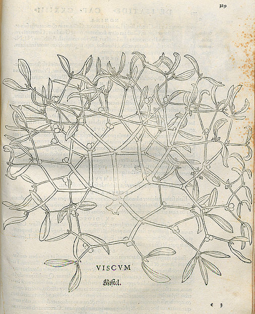De historia stirpium commentarii insignes