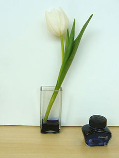 Blume in Tinte
