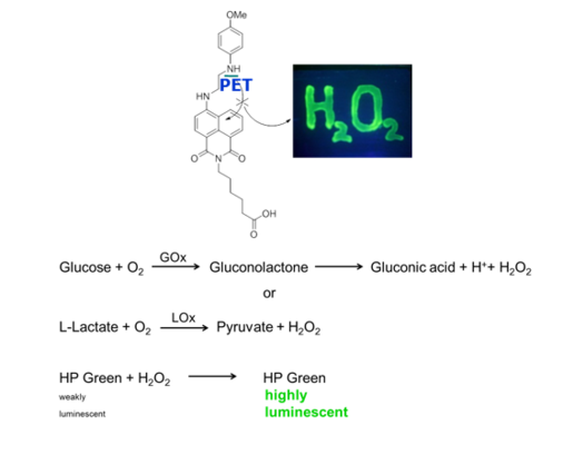 Enzymaticluminescence