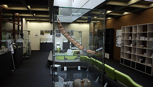 Ausstellungsraum
