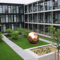 Bio Neubau 02