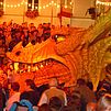 Tollerdrache