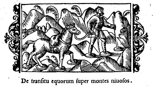 De transitu equorum super montes nivosos
