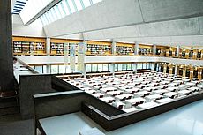 Bibliothek1