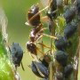 Bild01