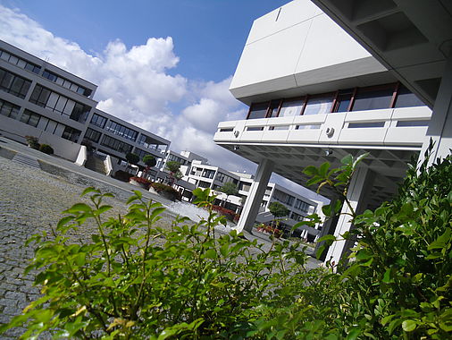 Cimg0695