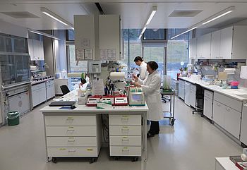 Lab View Img 4565 Modif
