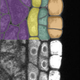 Icon 3