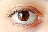 Auge