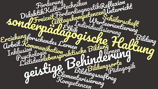 Wortwolke Pädagogik bei geistiger Behinderung
