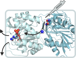 Proteincomplexes 060619