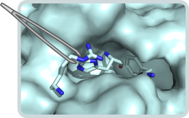 Proteindesign 060619