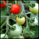 Bild04