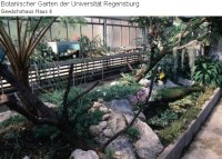 Gewaechshaus4