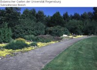 Submediterraner Bereich