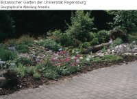 Geographische Abteilung Amerika