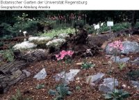 Geographische Abteilung