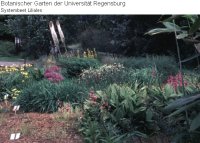 Systematische Abteilung