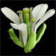 Bild01