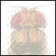 Bild03