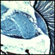 Bild04