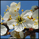 Bild01