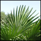Bild02