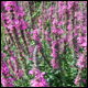 Bild03