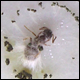 Bild03