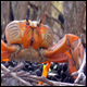 Bild04